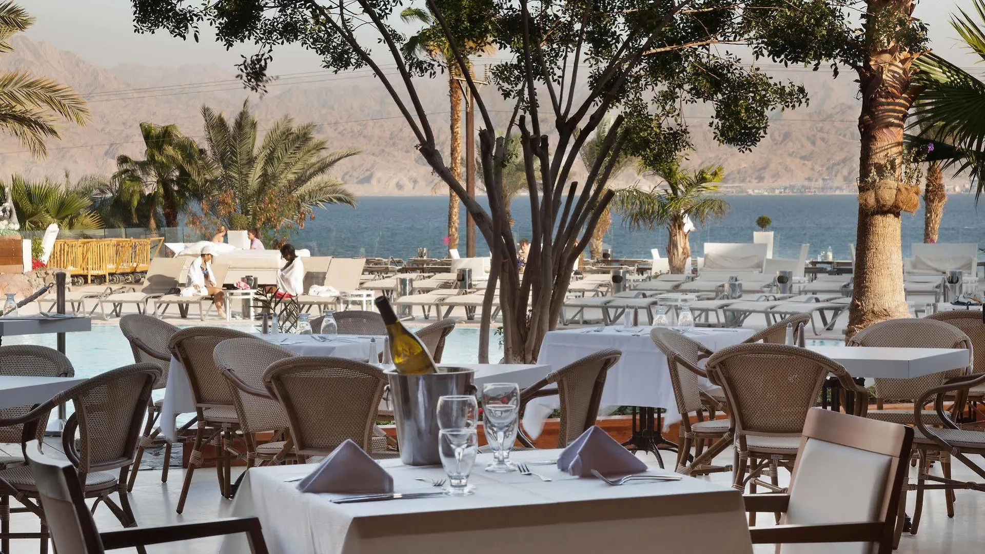 Orchid Eilat Hotel